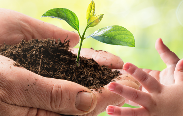 Image illustrant la démarche RSE