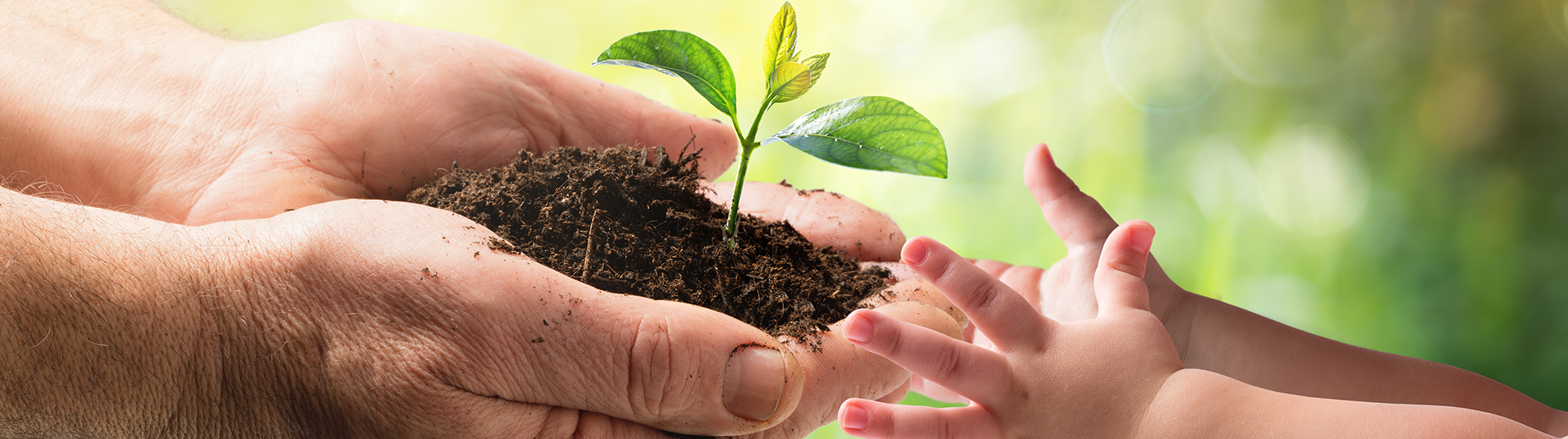 Image illustrant la démarche RSE