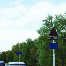 Pack_faune_focus_HD_v4 (1)